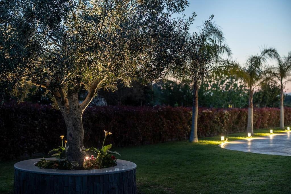 "Aeolos" Luxury Villa Préveza Kültér fotó